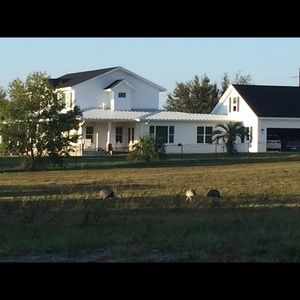 Meet your Posher, Taryn